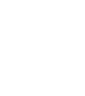 ZubraCore4
