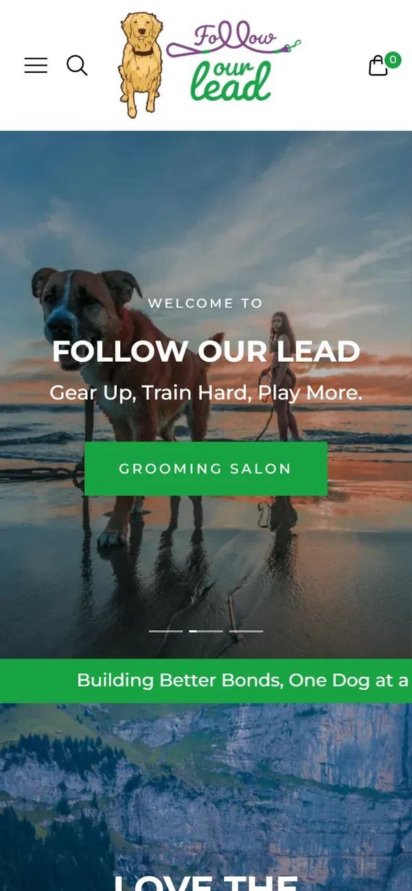 Follow Our Lead's Shopify store on mobile